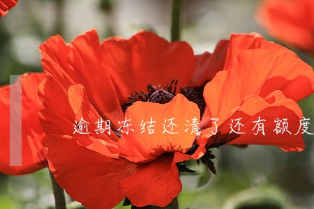 逾期冻结还清了还有额度吗 逾期冻结还清了还有额度吗