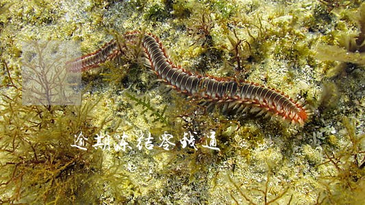 逾期冻结零钱通 逾期冻结零钱通