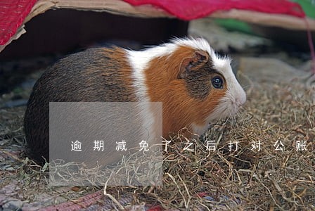 逾期减免了之后打对公账户 逾期减免了之后打对公账户