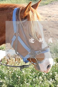 逾期减免作废短信模板 逾期减免作废短信模板