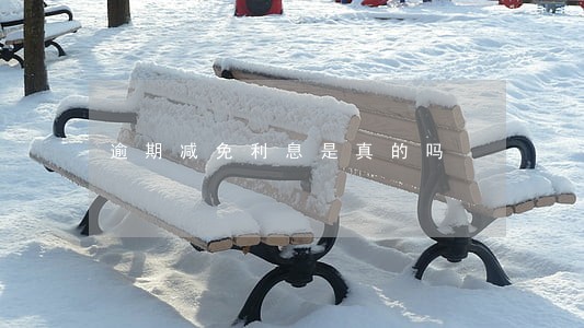 逾期减免利息是真的吗 逾期减免利息是真的吗