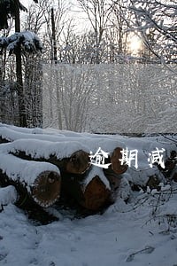 逾期减免制度 逾期减免制度