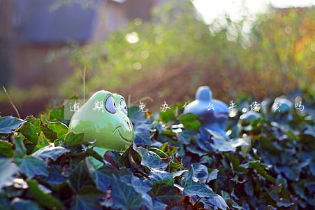 逾期减免办什么手续费吗