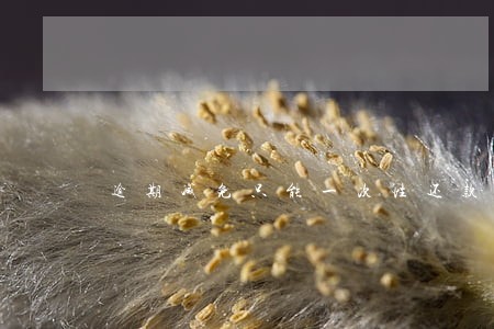 逾期减免只能一次性还款吗