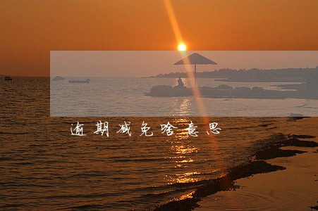 逾期减免啥意思