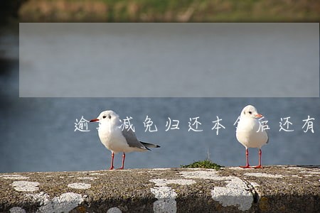 逾期减免归还本金后还有欠款 逾期减免归还本金后还有欠款