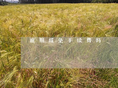 逾期减免手续费吗 逾期减免手续费吗