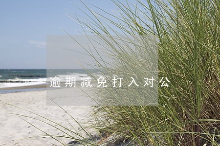 逾期减免打入对公 逾期减免打入对公