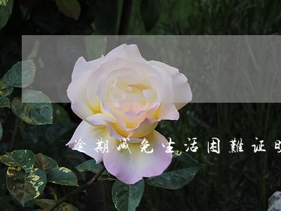 逾期减免生活困难证明 逾期减免生活困难证明
