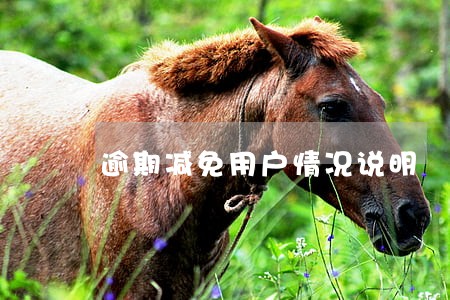 逾期减免用户情况说明 逾期减免用户情况说明