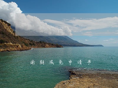 逾期减免申请书 逾期减免申请书