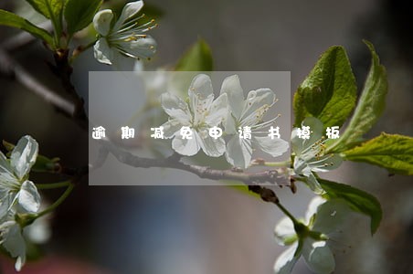 逾期减免申请书模板 逾期减免申请书模板
