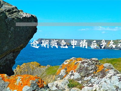 逾期减免申请后多久还