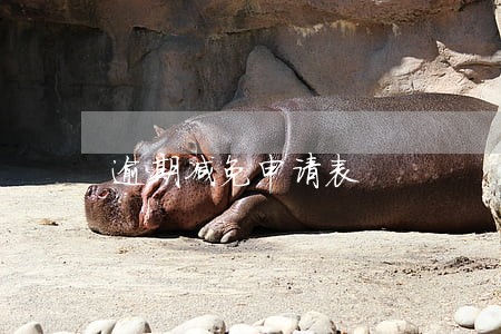 逾期减免申请表