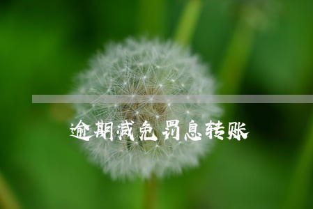 逾期减免罚息转账