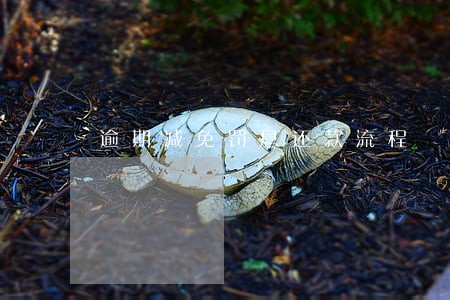 逾期减免罚息还款流程 逾期减免罚息还款流程