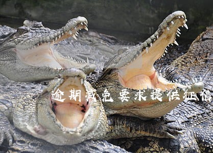 逾期减免要求提供征信报告