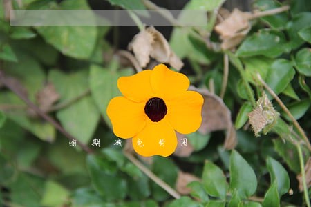 逾期减免费用 逾期减免费用
