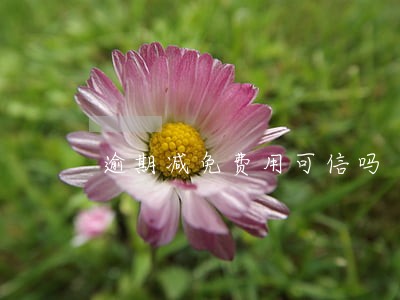 逾期减免费用可信吗 逾期减免费用可信吗