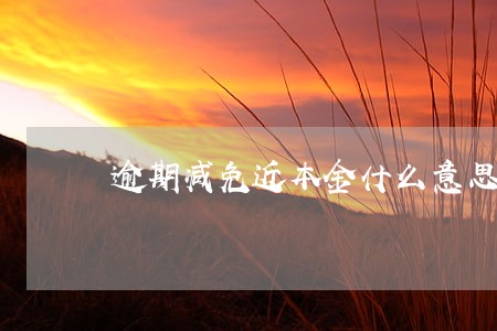 逾期减免近本金什么意思