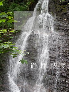 逾期减免还款怎么办