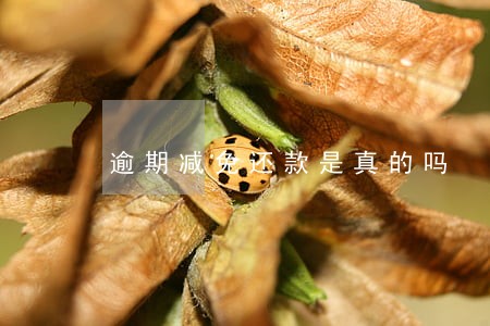 逾期减免还款是真的吗