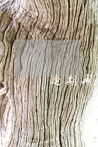 逾期减免还款有什么好处