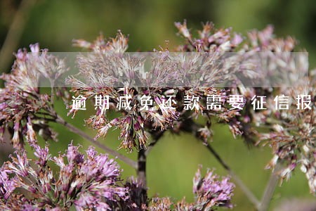 逾期减免还款需要征信报告么