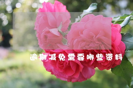 逾期减免需要哪些资料