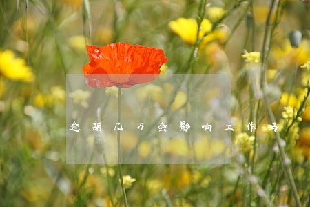 逾期几万会影响工作吗