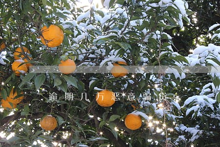 逾期几万恶意骗贷 逾期几万恶意骗贷