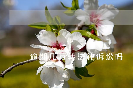 逾期几万转法律诉讼吗