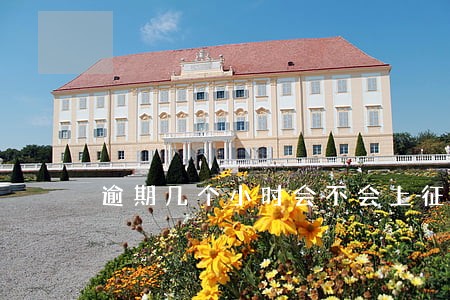 逾期几个小时会不会上征信 逾期几个小时会不会上征信