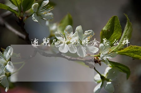逾期几个小时会怎么样 逾期几个小时会怎么样