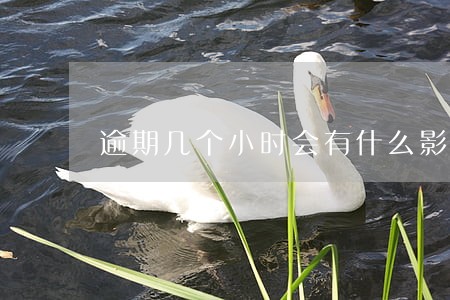 逾期几个小时会有什么影响 逾期几个小时会有什么影响