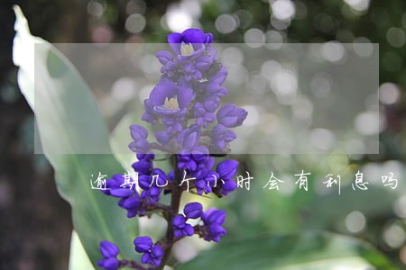 逾期几个小时会有利息吗 逾期几个小时会有利息吗
