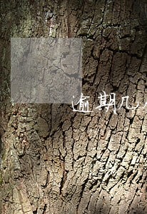 逾期几个小时后还款 逾期几个小时后还款