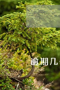逾期几个小时对身体有影响吗 逾期几个小时对身体有影响吗