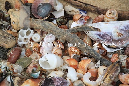 逾期几个小时就被拉入 逾期几个小时就被拉入