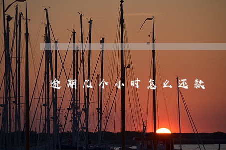 逾期几个小时怎么还款 逾期几个小时怎么还款