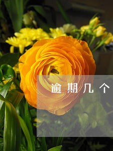 逾期几个小时算逾期吗 逾期几个小时算逾期吗