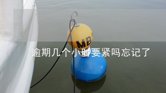 逾期几个小时要紧吗忘记了 逾期几个小时要紧吗忘记了