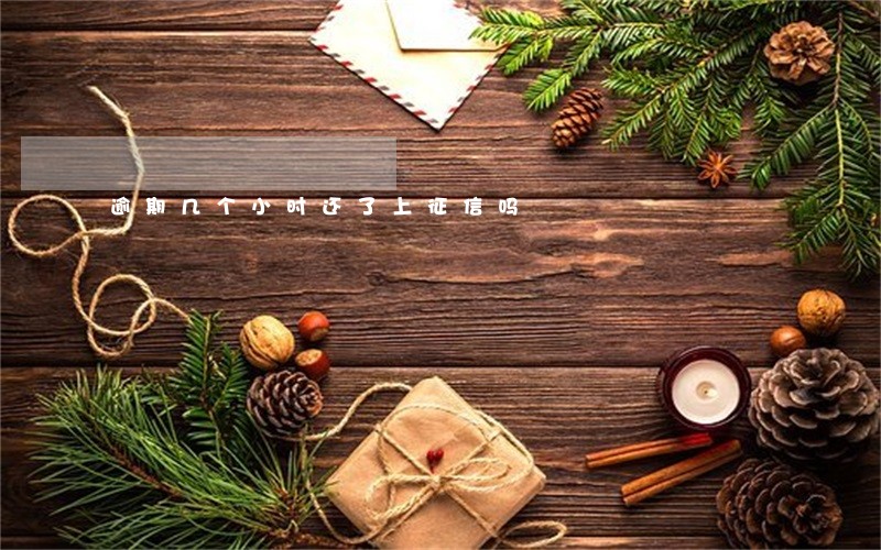 逾期几个小时还了上征信吗