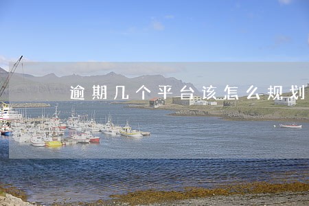 逾期几个平台该怎么规划还款 逾期几个平台该怎么规划还款