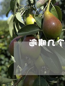 逾期几个月不接电话 逾期几个月不接电话