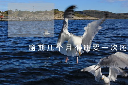逾期几个月不还要一次还清 逾期几个月不还要一次还清
