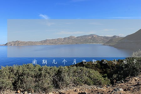 逾期几个月也能办信用卡