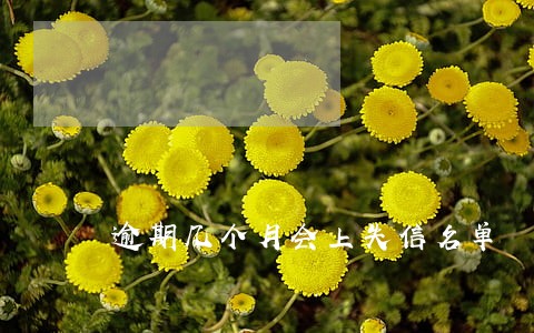 逾期几个月会上失信名单 逾期几个月会上失信名单