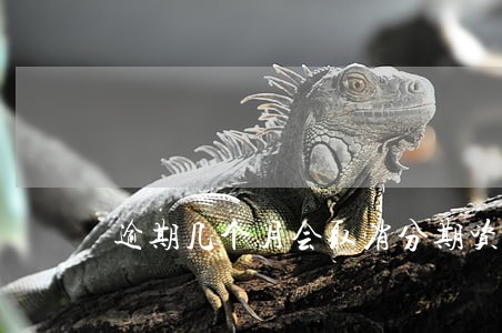 逾期几个月会取消分期资格 逾期几个月会取消分期资格
