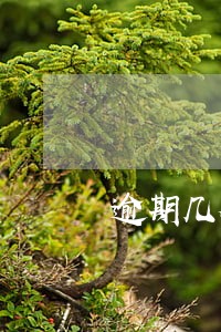 逾期几个月会变黑户 逾期几个月会变黑户